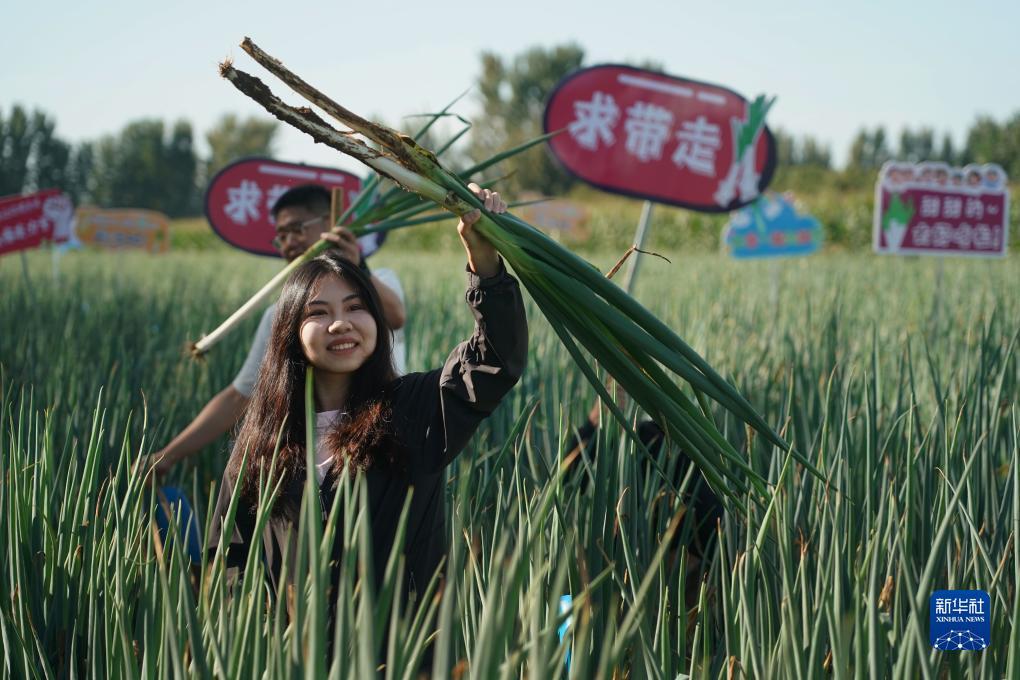 254俄罗斯娱乐登录